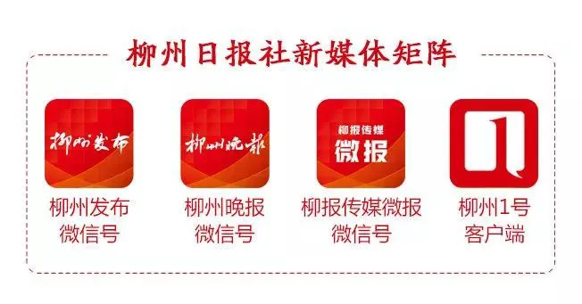 篮球训练视频教学软件下载大全安卓_1